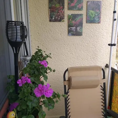 Simon Apartment *